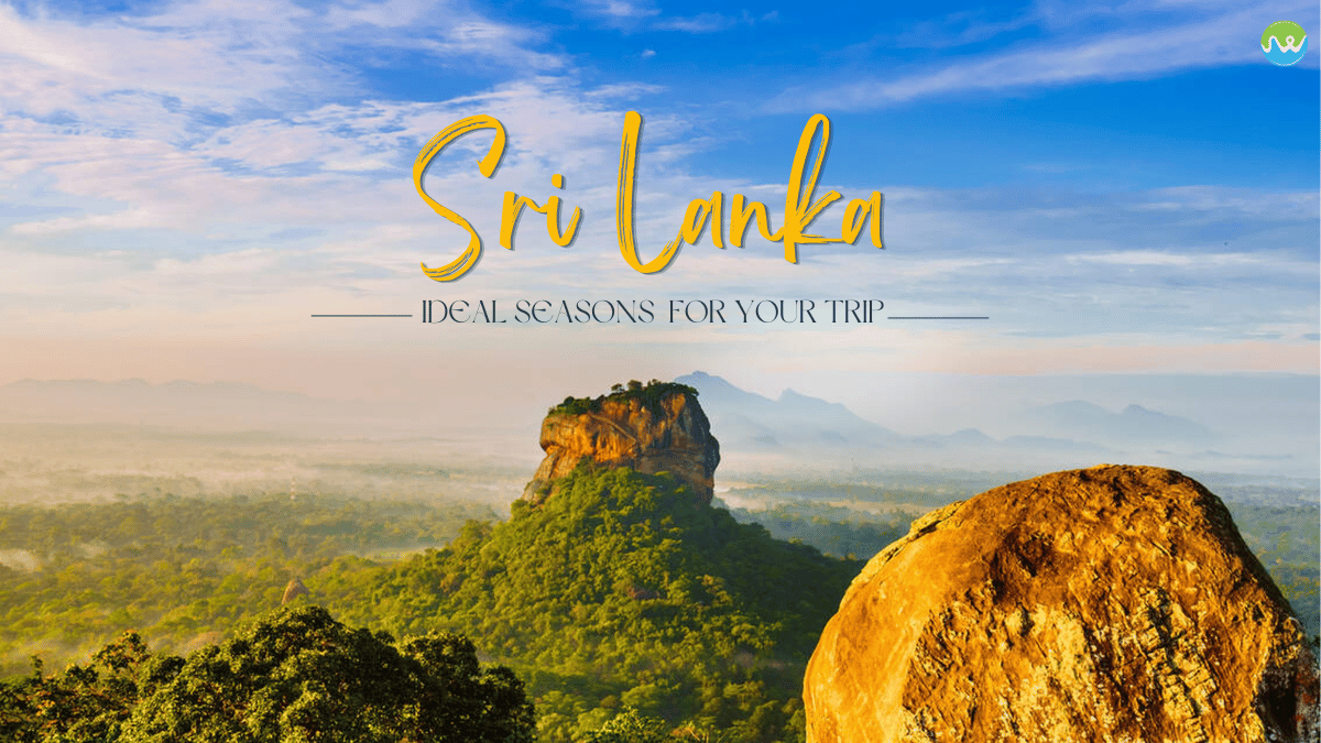 Come and See Lanka Travel